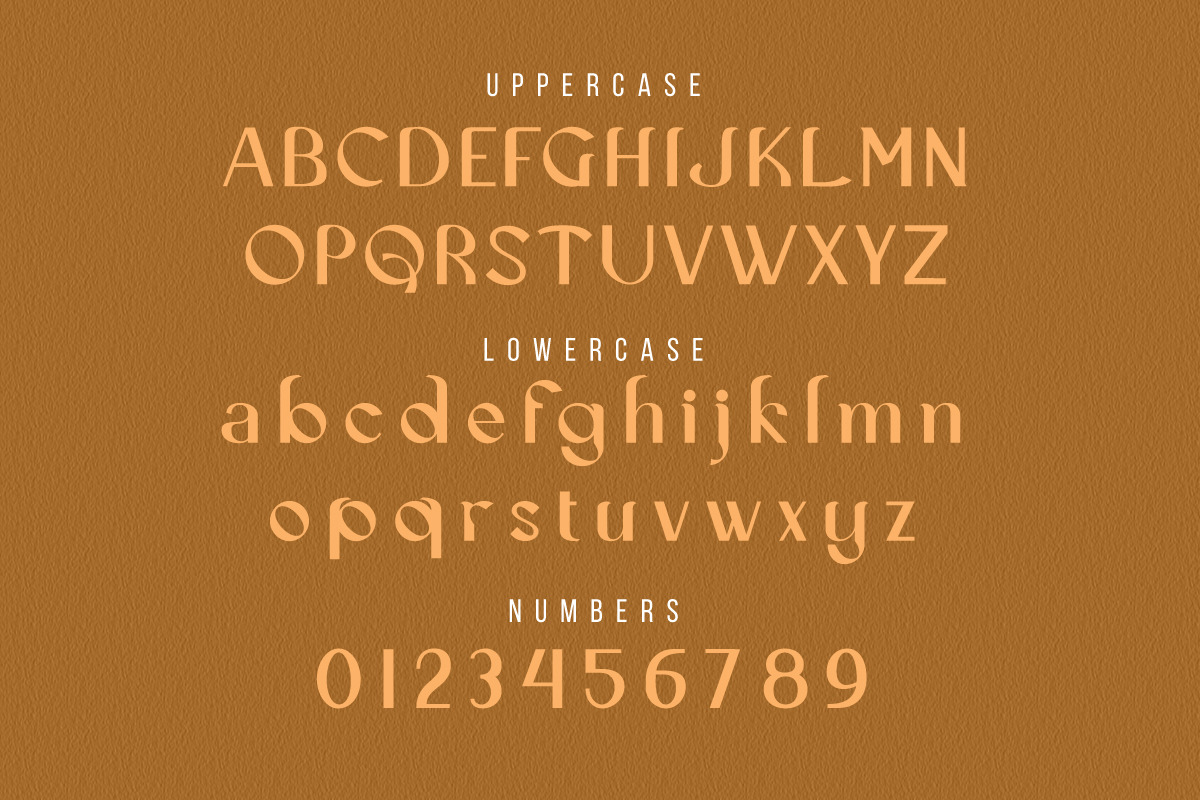 Cecision, a Serif Font by Wangsinawang Studio (Photo 8 of 11)