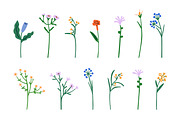 Flowers, blooming plants. Floral set, a Decorative Illustration by Good Studio (Thumbnail 4 of 5)