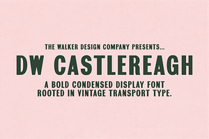 DW Castlereagh - Vintage Font, a Handwritten Font by Walker Design Co.