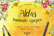 Aldas Typeface & Illustration Pack, a Script Font by Davendra Typeface (Thumbnail 1 of 5)