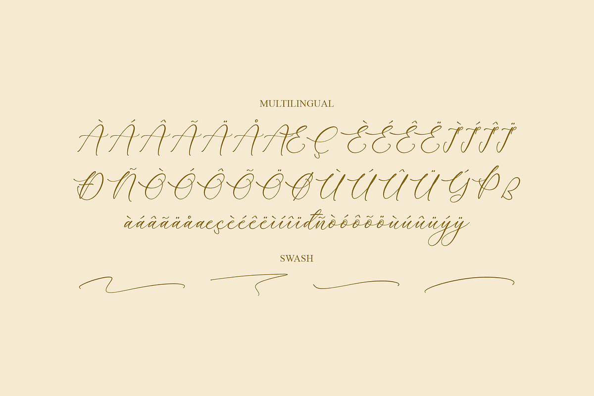Rumaysa Chambert Luxury Script, a Serif Font by Storytype Studio (Photo 14 of 16)