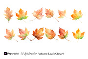 Watercolor Autumn Leaves Clipart, an Object Graphic by crafty (Thumbnail 4 of 5)