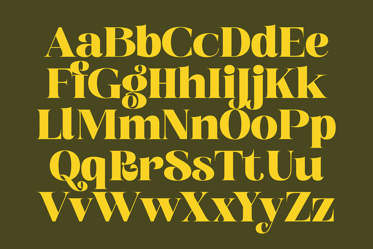 Broftin Resort Bold Serif Display, a Serif Font by timelesstype.co (Photo 16 of 20)