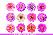 22 Zinnia Flowers Clipart Set, an Object Graphic by Sunset&Sea Design (Thumbnail 1 of 2)