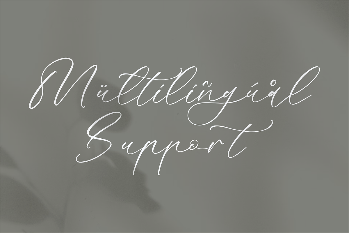 Mandela Clashinta Luxury Calligraphy, a Script Font by Storytype Studio (Photo 12 of 15)