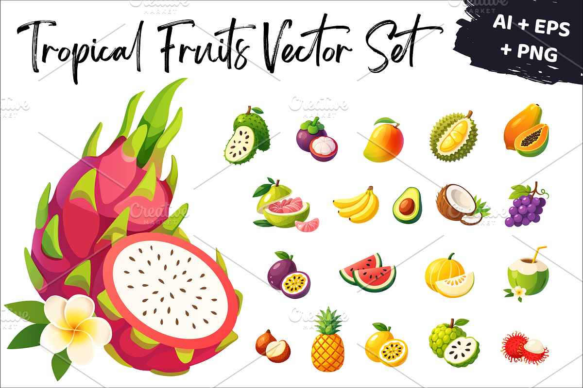 20 Tropical Fruits Icons Vector Set, an Object Graphic by Art of Sun (Photo 1 of 3)