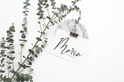 Bernaillo, a Script Font by Pen Culture (Thumbnail 3 of 10)