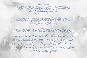 Bolton Quill Script