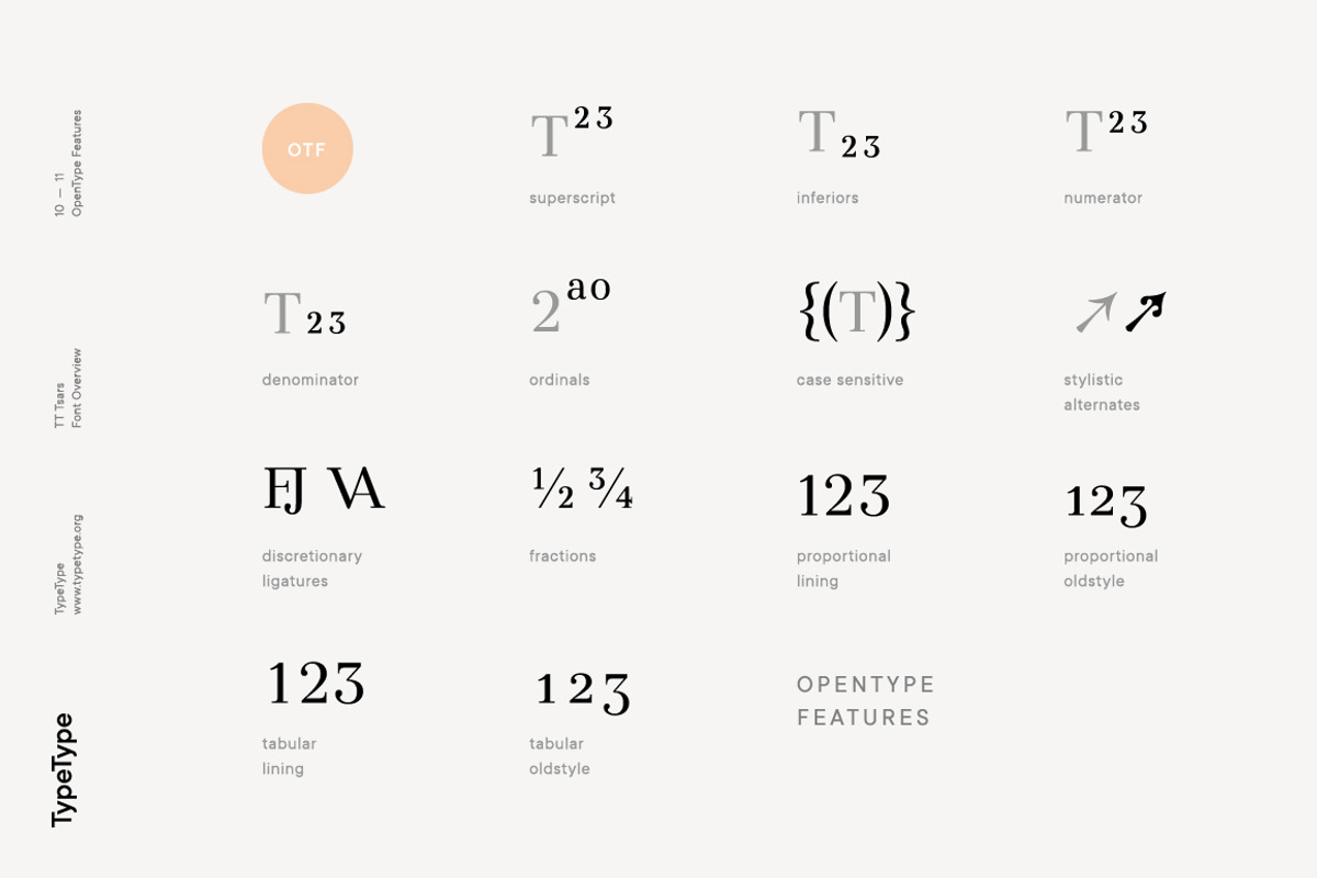 TT Tsars, a Serif Font by TypeType (Photo 10 of 10)