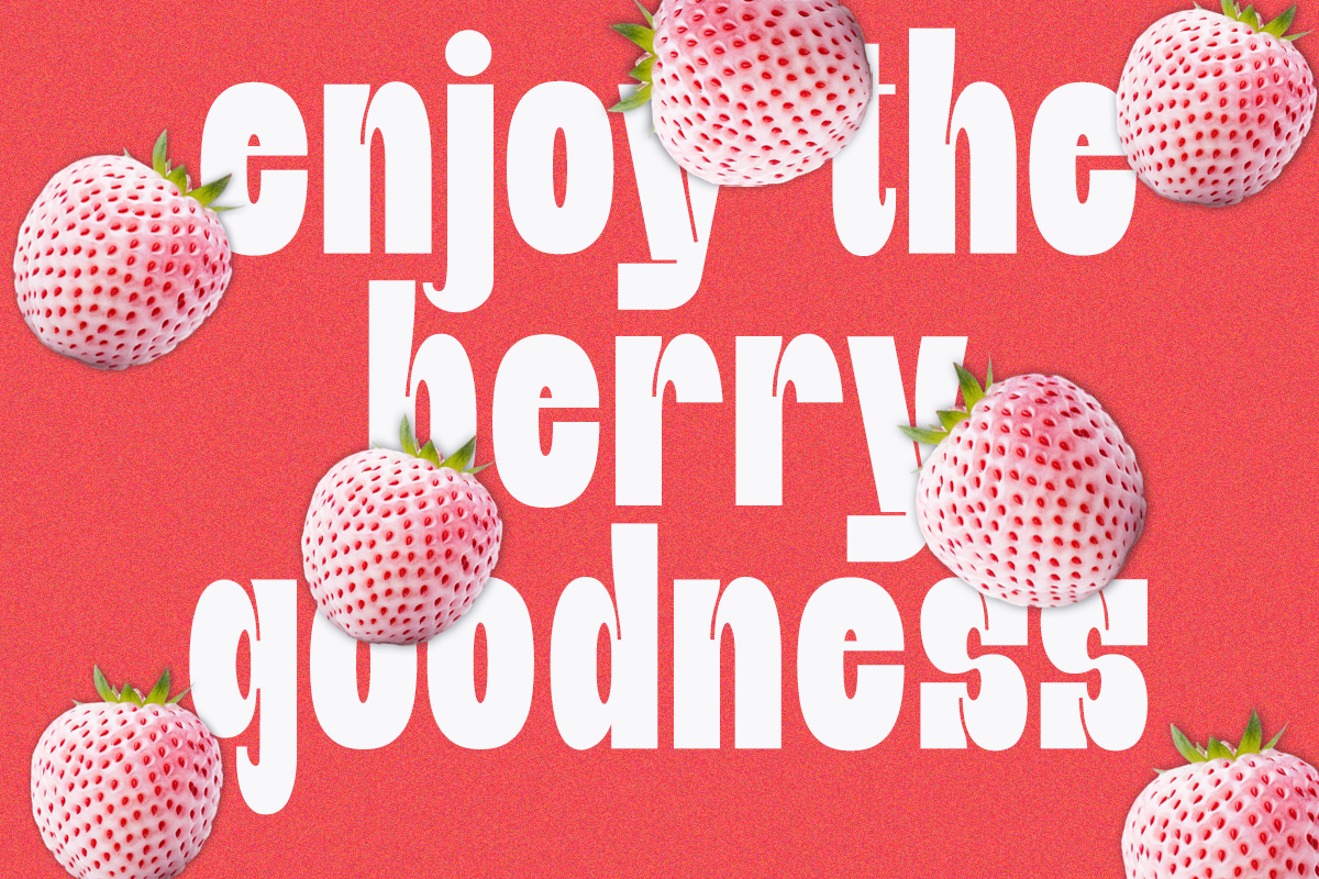 Karuna - Bold Sans Font, a Sans Serif Font by Say Studio (Photo 9 of 12)