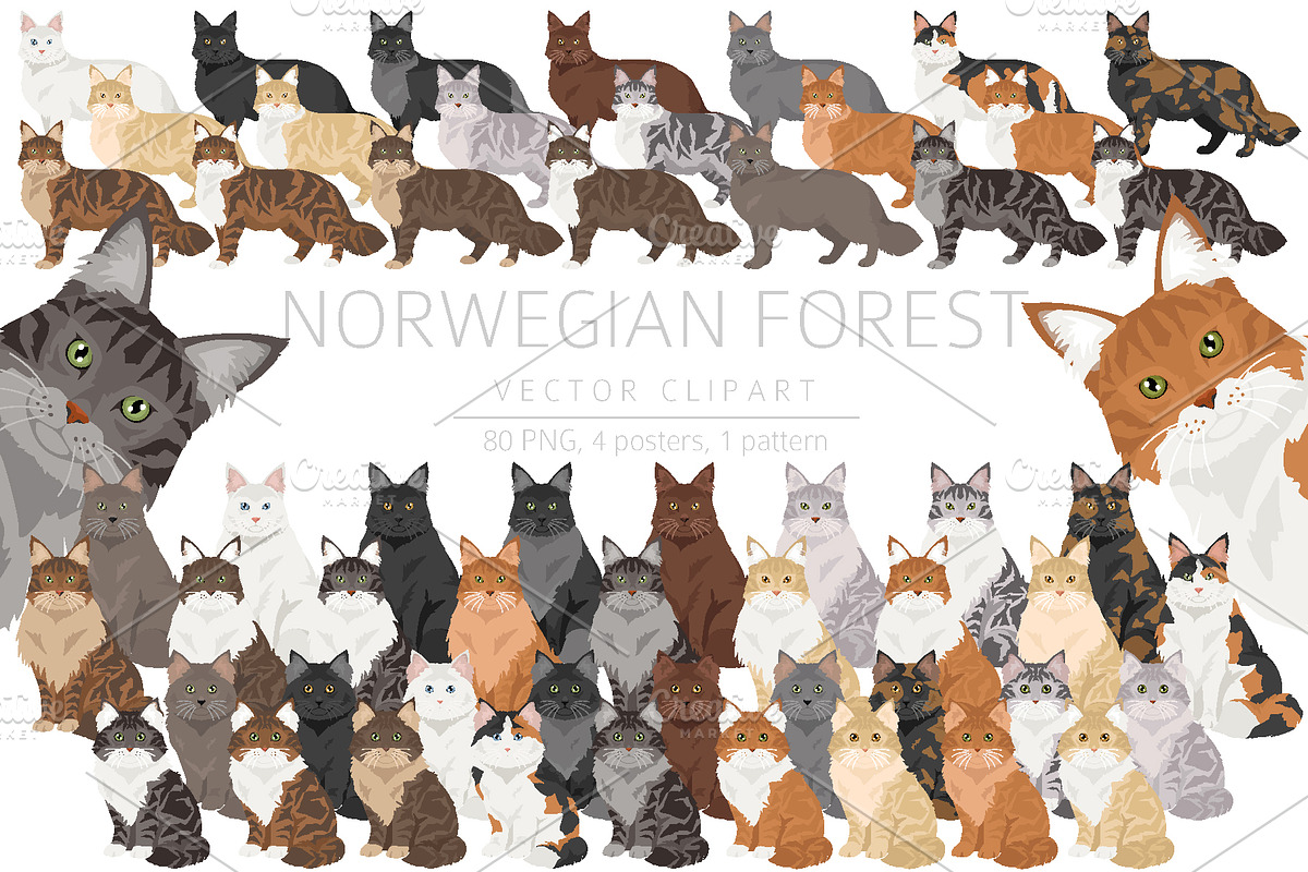 Norwegian Forest cat clipart, an Animal Illustration by pet design shop (Photo 1 of 6)