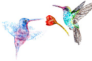 Bundle offer of watercolors, an Animal Illustration by Watercolor_Vector Graphic (Thumbnail 7 of 27)