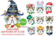 Portraits of Exotic Shorthair cat, an Animal Illustration by Watercolor fantasy (Thumbnail 1 of 6)