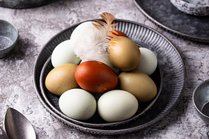 Farm blue, green and brown eggs, a Food & Drink Photo by Yulia Furman