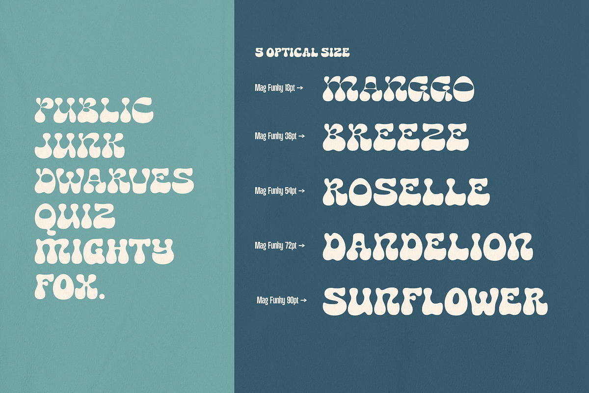 Mag Funky - Retro Groovy Font, a Sans Serif Font by Holyline Design (Photo 5 of 13)