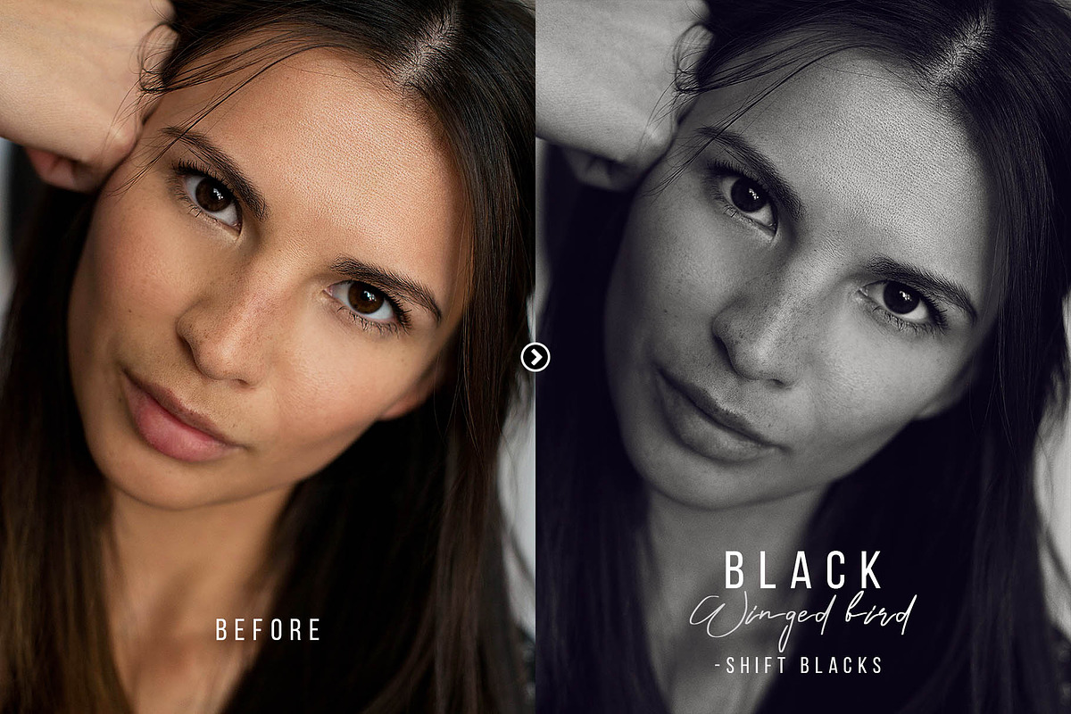 Black Winged Bird Photoshop Action, an Action Add-On by FilterAtelier (Photo 4 of 7)