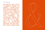Arganica Stylish Display Serif, a Serif Font by timelesstype.co (Thumbnail 12 of 20)