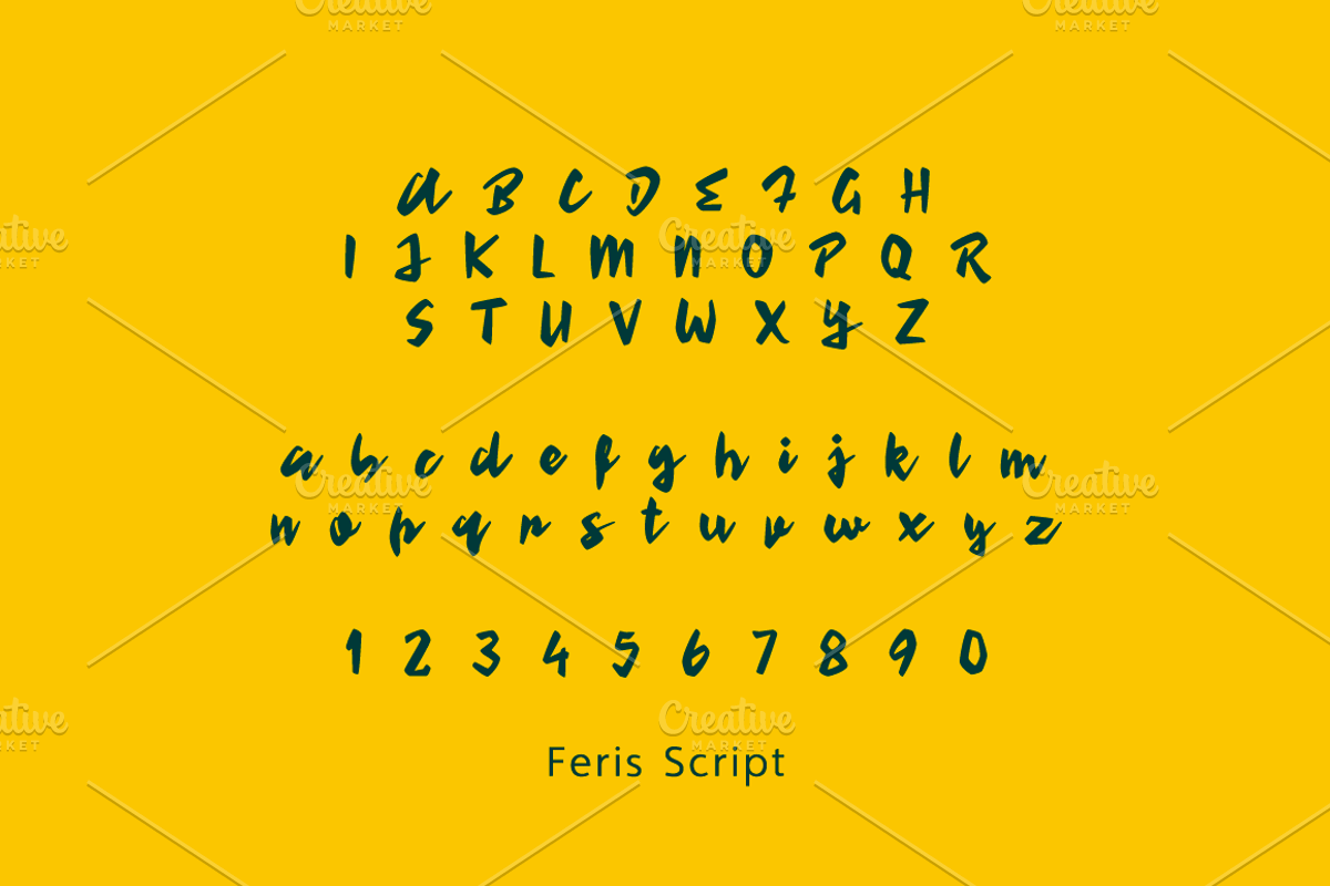Feris Script preview 5
