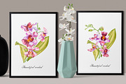Orchids branch in botanical style, a Decorative Illustration by Ann Astro (Thumbnail 11 of 15)