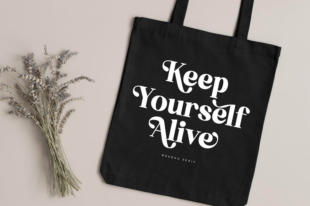 Bredga Decorative Serif Font, a Serif Font by Letterena Studios (Photo 4 of 15)