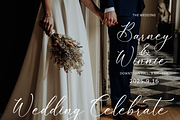 Alnetsia Montenela Luxury Script, a Script Font by Storytype Studio (Thumbnail 8 of 15)