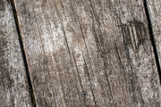 Natural wood texture patterns, a Background Photo by Schreibikus (Thumbnail 3 of 8)