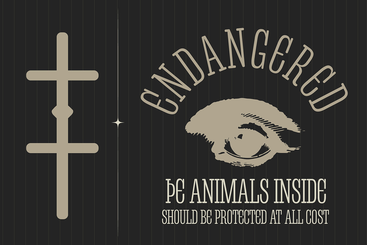 Condretro, a Slab Serif Font by graphicook (Photo 4 of 10)