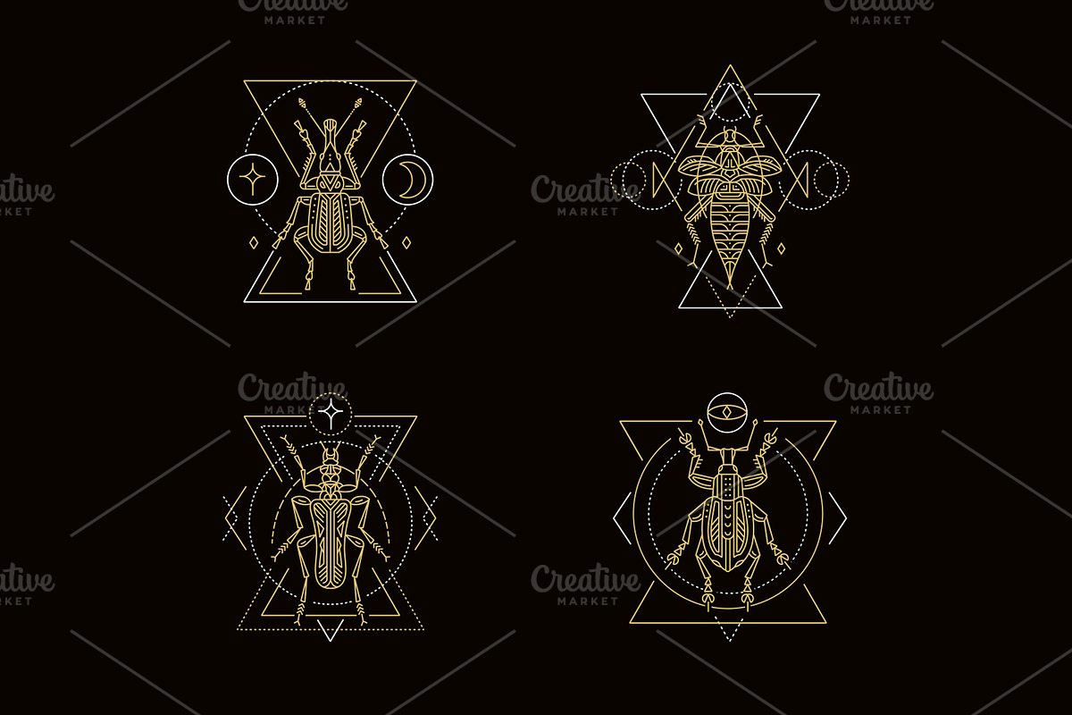 16 Insect symbols and 4 Patterns, an Outline Icon by Anna Smirnova (Photo 3 of 12)