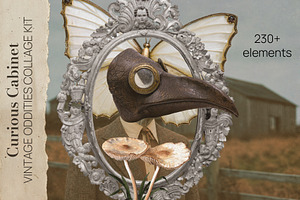 Curious Cabinet Collage Kit, an Object Graphic by Le.nart
