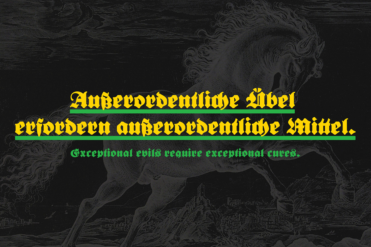 Bernard Fraktur, a Blackletter Font by Stefan Chirila (Photo 17 of 18)
