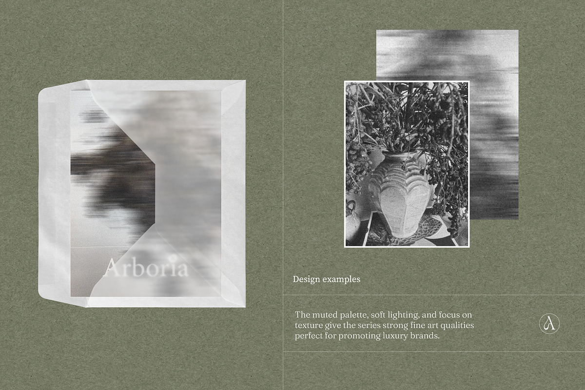 Botanical Still Life Photography, a Background Graphic by bron.alexander (Photo 5 of 10)