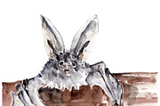 Vampire bats, watercolor/ink/vector, an Animal Illustration by Watercolor_Vector Graphic (Thumbnail 3 of 22)