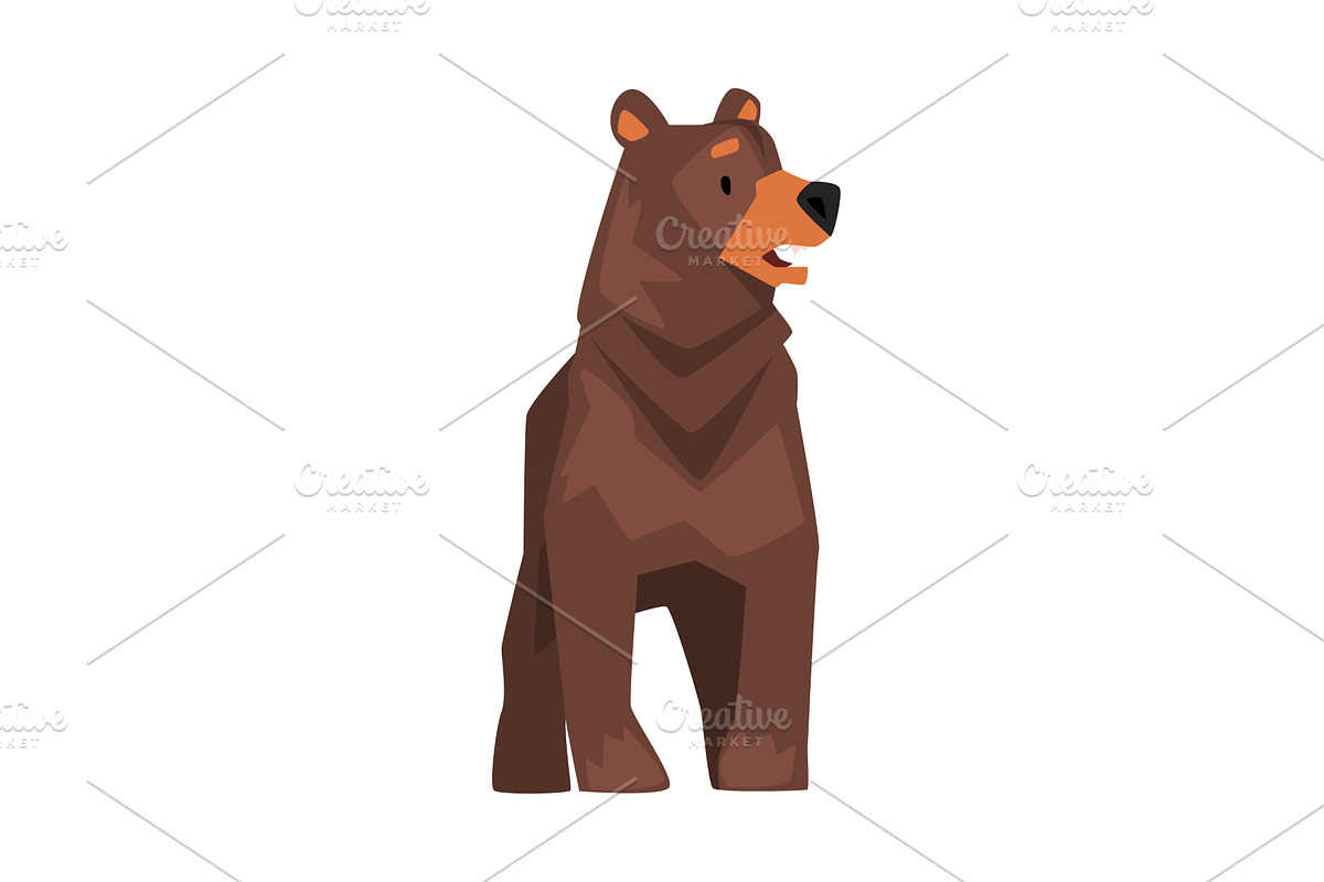 Cute Brown Grizzly Bear, Wild, an Animal Illustration by TopVectors