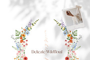 Watercolor Flower - Delicate Wild, a Decorative Illustration by Beigetime (Thumbnail 11 of 16)