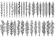 Grass&Leafs AdobeIllustrator brushes, a Brush Add-On by SHMEL_Studio (Thumbnail 2 of 4)