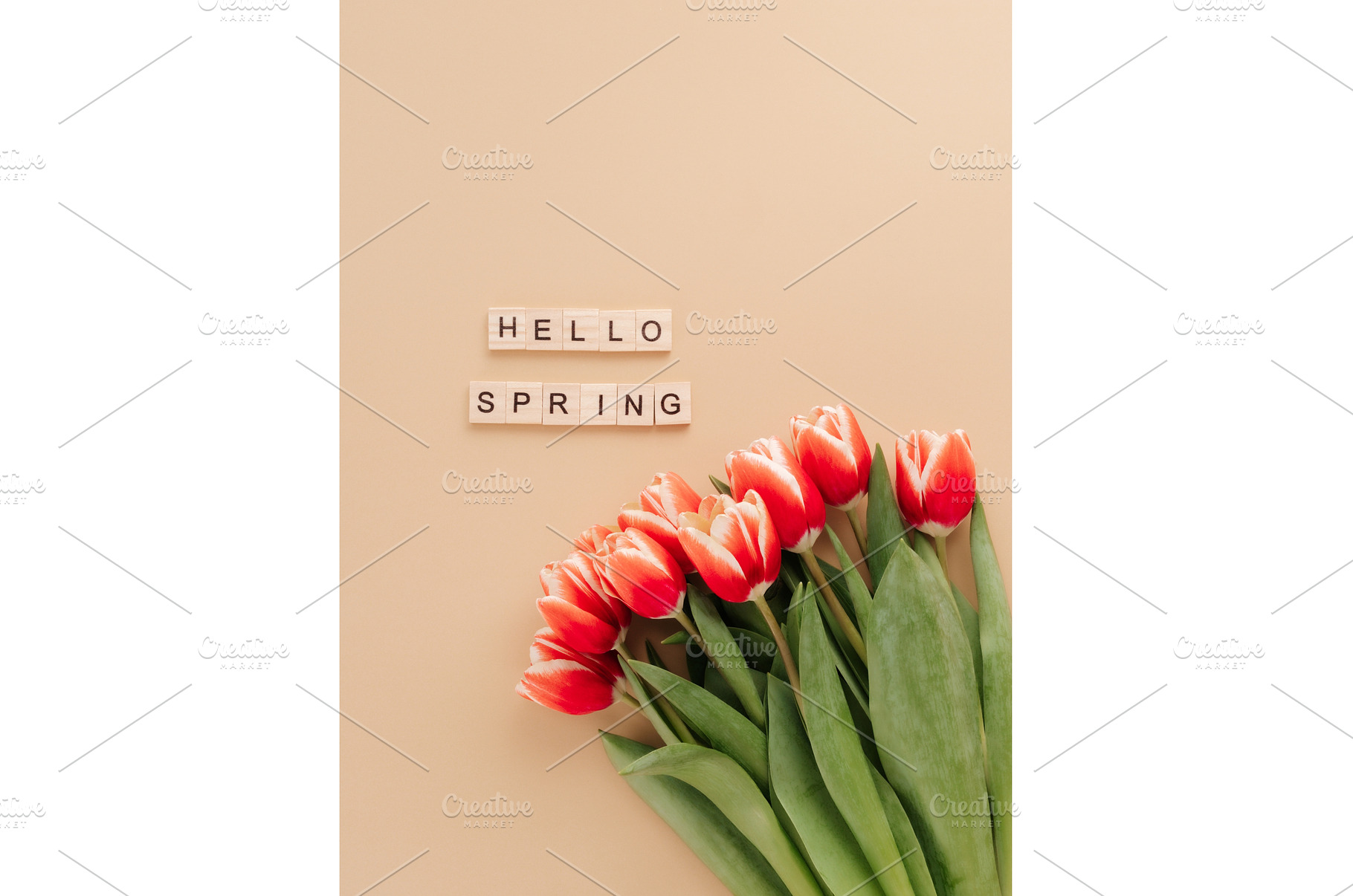 Hello spring concept. Tulip on beige, a Holiday Photo by Fascinadora