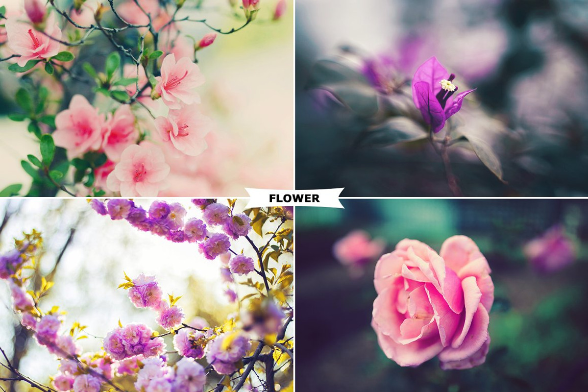 Mixed Photoshop Actions Bundle, an Action Add-On by Viktor Gjokaj (Photo 10 of 21)