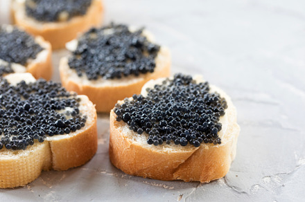 Expensive delicious black caviar stock photo containing caviar and sandwich
