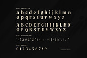 Cyfing Modern Elegant Serif Font, a Serif Font by Perfectype (Thumbnail 7 of 8)