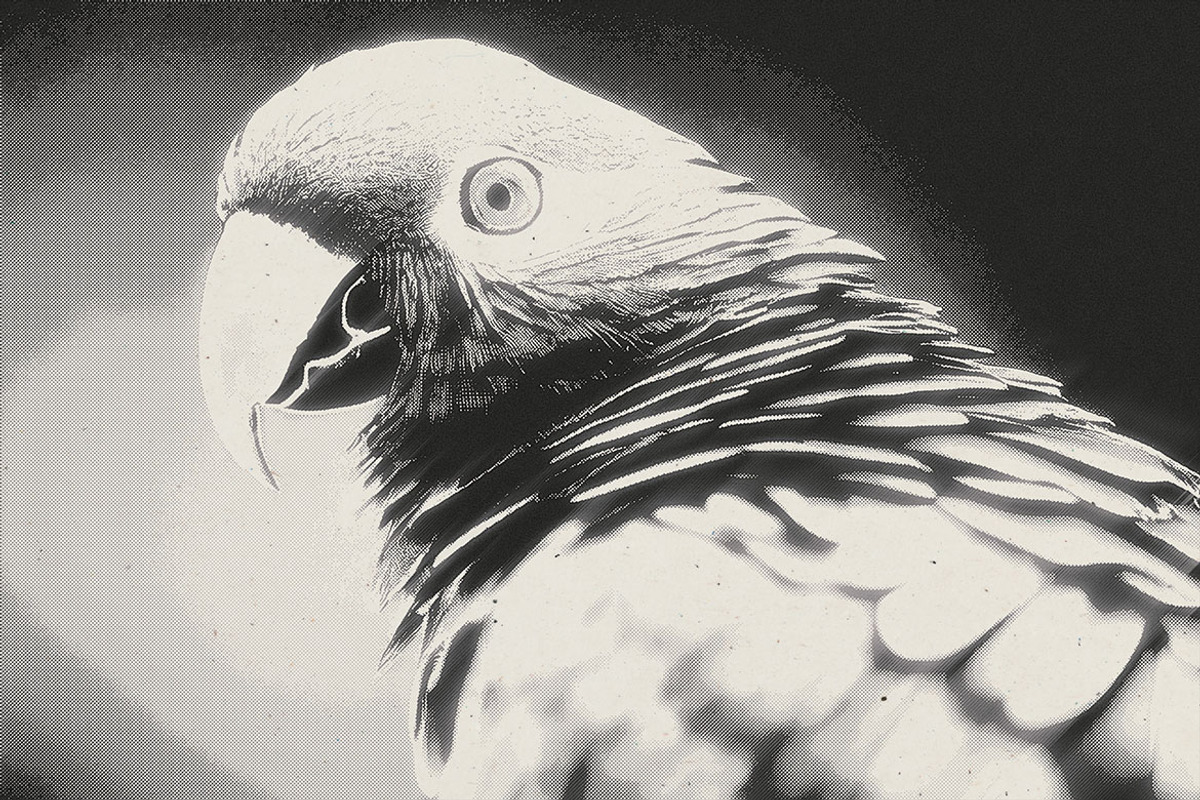 Noir Halftone Photo Effect, a Layer Style Add-On by iDoodle Studio (Photo 3 of 4)