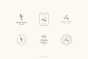 Botanical logos Vol. 4, a Branding & Logo Template by Crocus Paperi (Thumbnail 12 of 16)