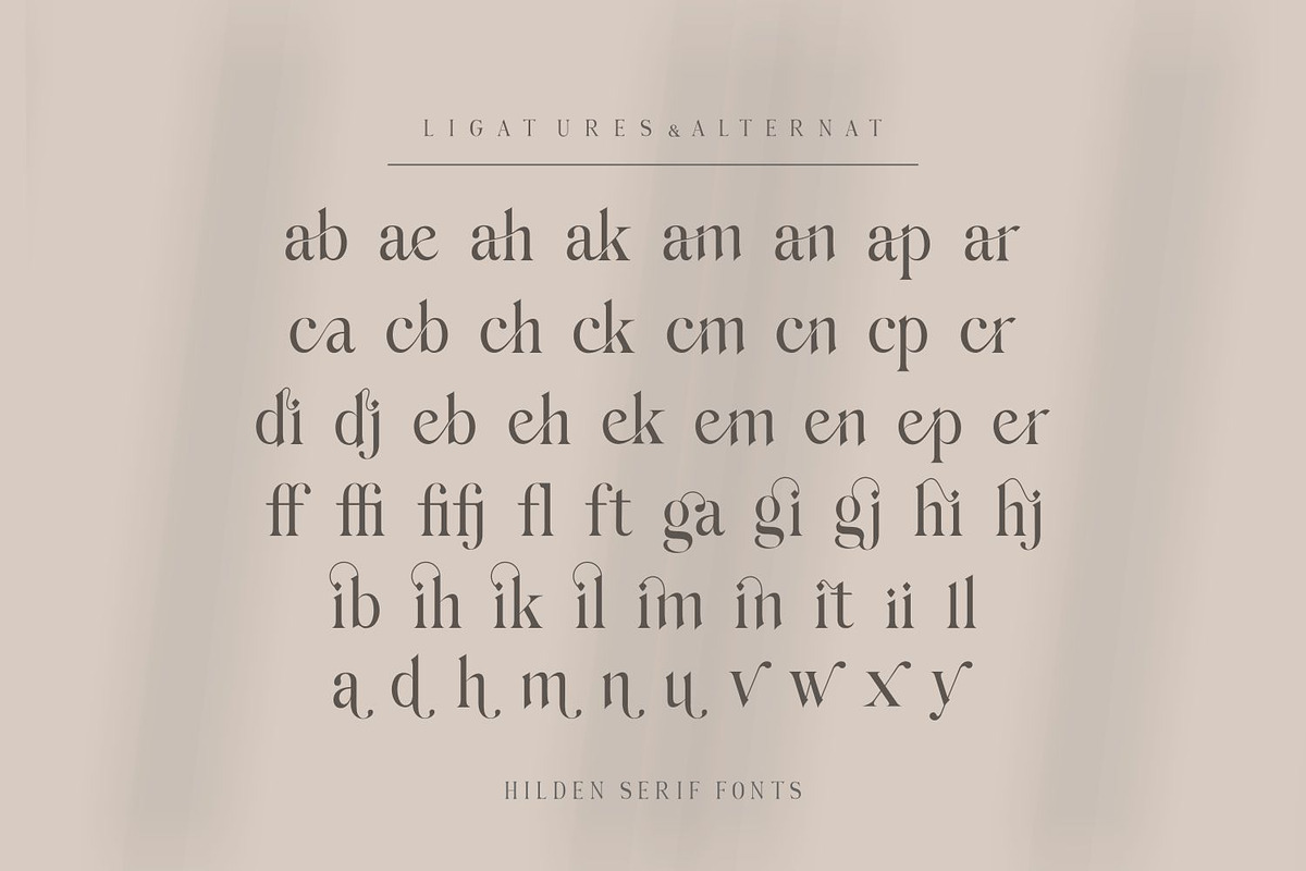 Hilden - stylish modern serif font, a Serif Font by Penatic Studio (Photo 11 of 14)