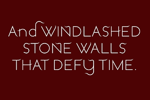 Windswept. Stunning Sans Serif Font