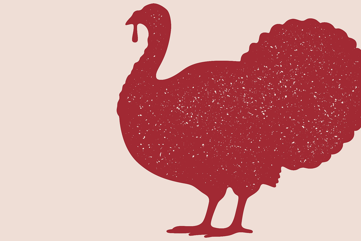 Turkey bird silhouette. Graphic, an Object Illustration by Foxys Graphic (Photo 3 of 3)