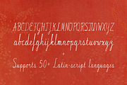 Mistlewire - Textured Script Font, a Handwritten Font by Lilithcollageart (Thumbnail 4 of 12)