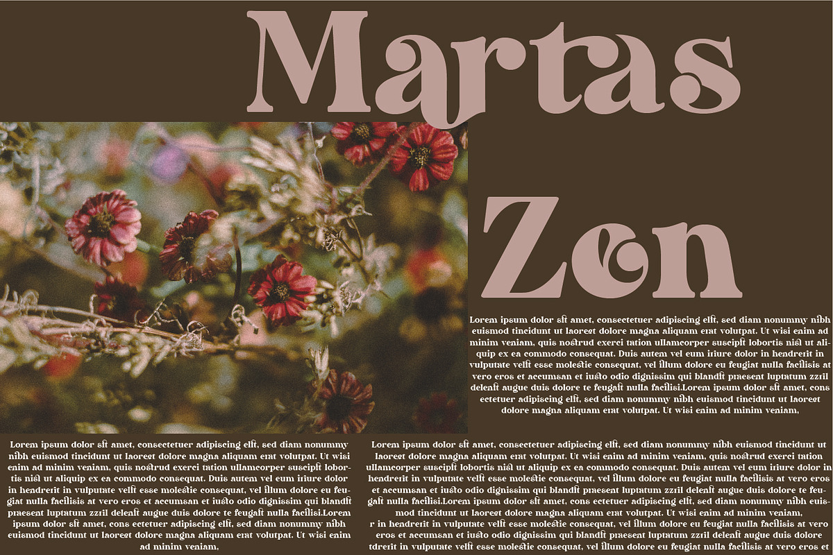 Dakosta | Retro Serif Typeface, a Serif Font by MchCrafter (Photo 10 of 15)