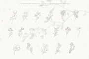Botanical Alphabet & Monograms., a Decorative Illustration by Designwork (Thumbnail 9 of 18)