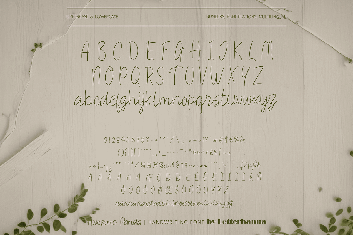 Awesome Panda Font, a Handwritten Font by Letterhanna Studio (Photo 11 of 16)