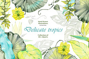Delicate Tropics Watercolor Clipart, a Decorative Illustration by NataliMiasStore (Thumbnail 1 of 7)