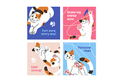Cute cats set + cards + patterns, an Animal Illustration by PaperTrident (Thumbnail 3 of 6)